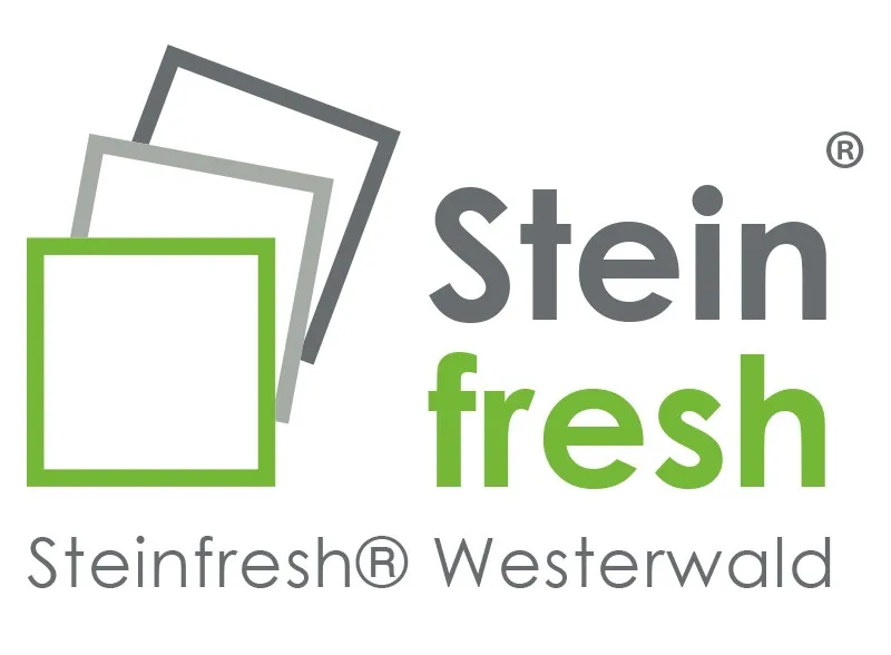 Stein fresh logo